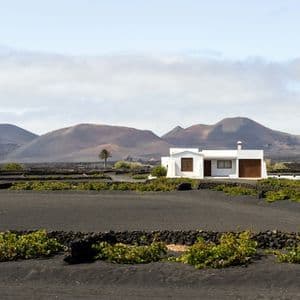 Una casa bianca sorge in un vigneto di viti verdi piantate in terreno vulcanico nero, con una catena di colline sullo sfondo.