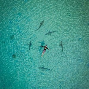 Da una prospettiva aerea, una persona galleggia sulla schiena in acque turchesi e cristalline, circondata da squali e una pastinaca.