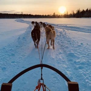 Vue à la première personne d'un traîneau tiré par des huskies, traversant un paysage enneigé au coucher du soleil.