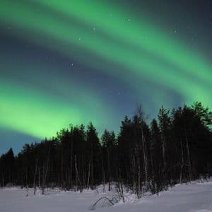 The green aurora borealis lights up a starry night sky above a snow-covered landscape and a dark pine forest.