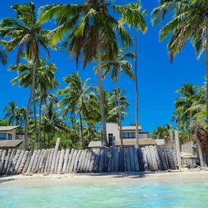 Alte palme su una spiaggia di sabbia bianca con una recinzione di tronchi di legno, vista dalle acque limpide e turchesi.