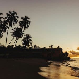 Le sagome di due persone che guardano il tramonto da una spiaggia tropicale con palme.