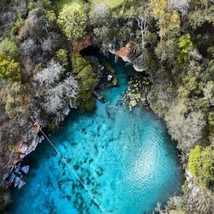 Una vista aerea di un cenote con acqua cristallina turchese, circondato da una fitta foresta, con una corda che si estende sulla superficie.