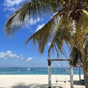 Una palma e un'altalena di legno su una spiaggia di sabbia bianca con vista su un oceano turchese e barche sotto un cielo blu.