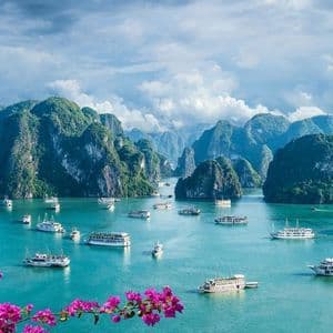 An aerial view of many white boats on turquoise water, surrounded by large green limestone islands, with pink flowers in the foreground.