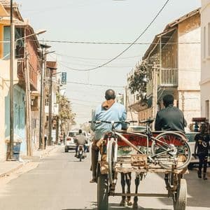 Vista trasera de dos hombres en un carro de caballos con una bicicleta adjunta, por una calle soleada con edificios.