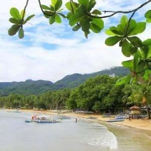 A view of a tropical beach from under green leaves, showing a sandy shore, palm trees, and forested mountains in the background.