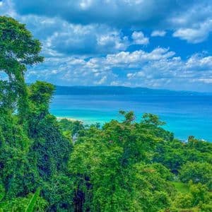 Une vue en hauteur sur une canopée verdoyante et luxuriante, vers une mer turquoise, une plage de sable et des montagnes lointaines sous un ciel bleu et nuageux.