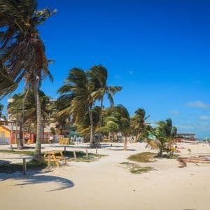 Alte palme ondeggiano al vento su una spiaggia di sabbia bianca fiancheggiata da edifici colorati sotto un cielo azzurro limpido.