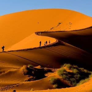 Un gruppo WeRoad in viaggio cammina in fila lungo la cresta di una vasta duna di sabbia arancione sotto un cielo azzurro e limpido.