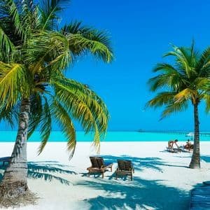 Palmeras en una playa de arena blanca con tumbonas frente a un océano turquesa y un muelle en la distancia bajo un cielo azul claro.