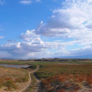 Una strada sterrata si snoda attraverso un vasto paesaggio arbustivo verso un fiume e montagne lontane sotto un cielo luminoso e nuvoloso.