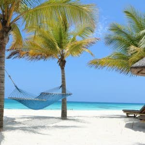 Un'amaca blu pende tra due palme su una spiaggia di sabbia bianca con acqua turchese e un cielo sereno sullo sfondo.