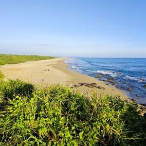 Vogelperspektive auf einen weiten Sandstrand, der von blauem Ozean und üppiger Vegetation gesäumt wird, von einem grasbewachsenen Aussichtspunkt unter klarem Himmel aus gesehen.
