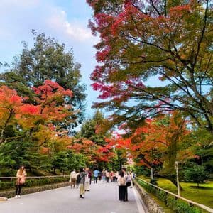 Una folla di persone cammina lungo un sentiero lastricato in un parco circondato da alberi con fogliame autunnale rosso e verde.