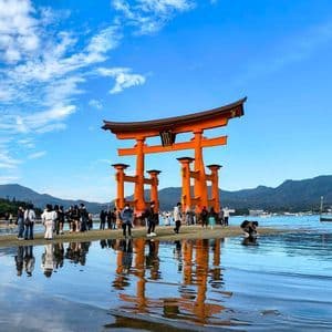 Un grande portale torii arancione si erge nell'acqua con la bassa marea, riflettendosi sulla superficie, mentre le persone si radunano sulla riva sotto un cielo azzurro.