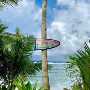 Un cartello dipinto a mano con la scritta 'Le buone vibrazioni arrivano con la marea' è attaccato a una palma su una spiaggia tropicale che si affaccia sull'oceano.