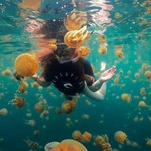 Vista subacquea di una persona che nuota tra un grande gruppo di meduse dorate in acque limpide e turchesi.