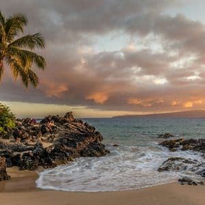 A palm tree stands on a rocky beach as waves wash ashore under a cloudy, dramatic sunset.