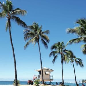 A white lifeguard tower sits on a sandy beach among tall palm trees, with a red ATV parked nearby under a clear blue sky.