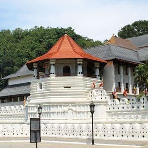 An ornate white temple complex with an octagonal, red-roofed tower set against a backdrop of a dense, green forest.
