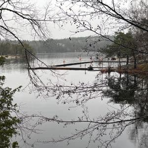 Un lago calmo con un pontile in legno, visto tra i rami di alberi spogli in una giornata nuvolosa.