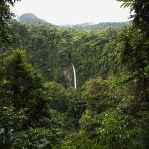 A tall, narrow waterfall cascades down a cliff in the center of a dense, green rainforest, viewed through an opening in the trees.