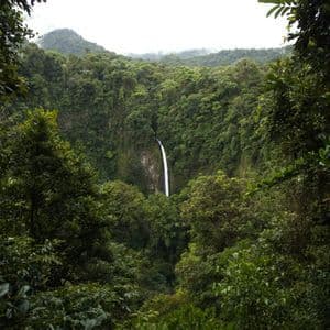 A tall, narrow waterfall cascades down a cliff face in the center of a dense, lush green jungle under an overcast sky.