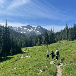 Un viaggio di gruppo WeRoad con tre persone che fanno trekking su un sentiero in un verde prato di montagna, circondato da pini e cime innevate.
