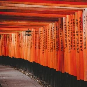 Un sentiero in pietra si snoda attraverso un tunnel di cancelli torii arancioni vivaci, inscritti con caratteri giapponesi neri.