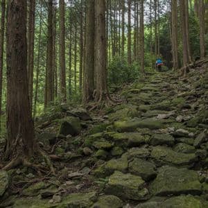 Un escursionista con un grande zaino blu percorre un ripido sentiero di pietra coperto di muschio, immerso in una fitta foresta di alberi alti.