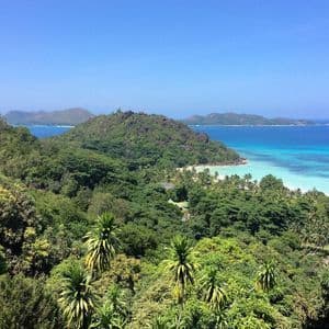 Eine Vogelperspektive eines dichten tropischen Waldes mit Blick auf eine Bucht mit einem weißen Sandstrand und türkisblauem Wasser unter einem klaren blauen Himmel.