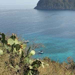 Una vista costiera da una scogliera con un fico d'India, che si affaccia su barche in acqua turchese vicino a una grande isola.