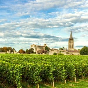 Un vignoble verdoyant et luxuriant avec des rangées de vignes menant à un village historique en pierre et un clocher, sous un ciel partiellement nuageux.