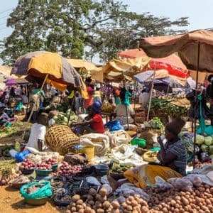 Ein belebter Freiluftmarkt, auf dem Menschen an einem sonnigen Tag unter bunten Sonnenschirmen frisches Gemüse kaufen und verkaufen.