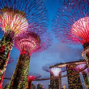 Tall, futuristic tree-like structures covered in plants and illuminated with pink and red lights against a city skyline at dusk.