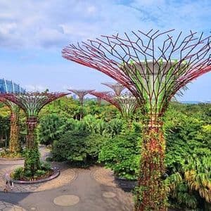 Hohe, futuristische Baumskulpturen mit violetten Blätterdächern stehen in einem üppig grünen Park mit Wegen und einer großen Glaskuppel im Hintergrund.