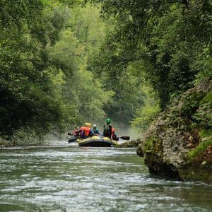Un viaggio di gruppo WeRoad fa rafting su un gommone lungo un fiume circondato da una fitta foresta verde.