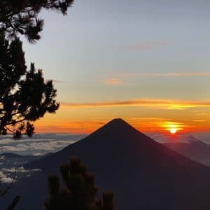 Un volcan en silhouette au lever du soleil, avec le soleil à l'horizon au-dessus d'une mer de nuages et des pins au premier plan.