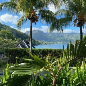 Ein Blick durch üppig grünes Laub und zwei hohe Palmen auf eine blaue Bucht mit bewaldeten Bergen im Hintergrund.