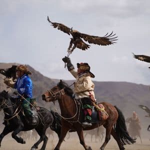 A group of eagle hunters in traditional clothing ride horses, holding golden eagles with their wings spread in a mountainous landscape.
