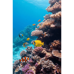 Molti pesci tropicali colorati, inclusi pesci pagliaccio e un pesce chirurgo giallo, nuotano intorno a una vivace barriera corallina in acqua cristallina e blu.