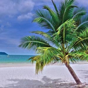 Des palmiers se penchent sur une plage de sable blanc au bord d'une eau turquoise, avec une île lointaine à l'horizon sous un ciel nuageux.