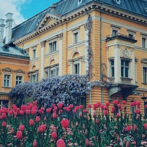Un giardino di tulipani rosa e glicini viola in piena fioritura davanti a un edificio giallo ornato.