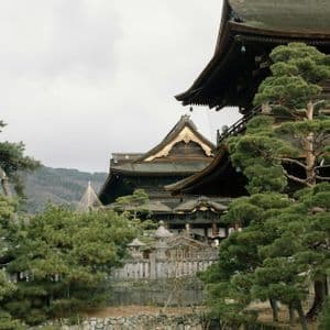 Un tradizionale tempio giapponese con legno scuro e tetti a pagoda è circondato da rigogliosi pini verdi sotto un cielo coperto.