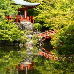 Una pagoda giapponese rossa e un ponte abbinato sono immersi tra alberi verdi e lussureggianti, con i loro riflessi visibili nell'acqua tranquilla di uno stagno.