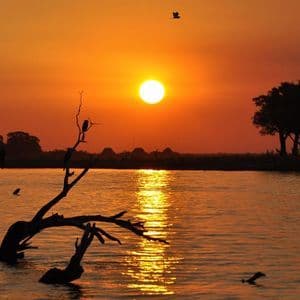 The sun sets over a calm river, casting an orange glow on the water and silhouetting trees and birds.
