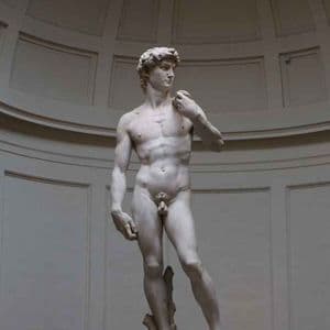 La estatua de mármol de cuerpo entero de David de Miguel Ángel, de pie dentro de una galería con una pared curva y panelada.