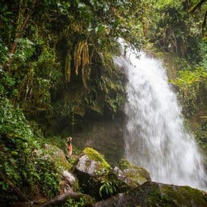 Una persona si trova su rocce muschiose, ammirando una potente cascata che scende attraverso una rigogliosa foresta pluviale verde.