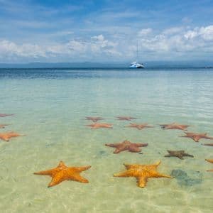 Stelle marine arancioni riposano su un fondale sabbioso in acque limpide e basse, con una barca all'orizzonte sotto un cielo azzurro e nuvoloso.